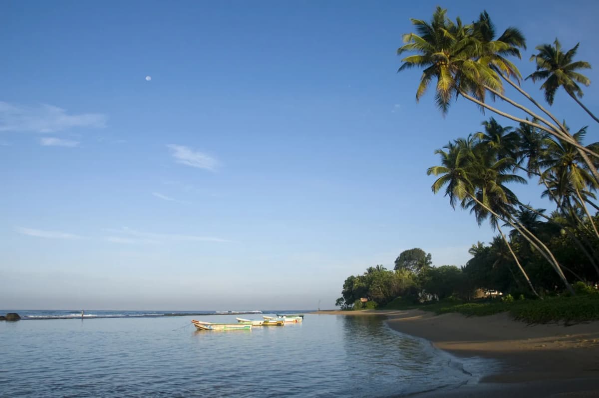 Tropical beach in Sri Lanka inspiring English learning abroad